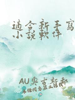 适合新手写作的小说软件 适合新手写作的小说软件