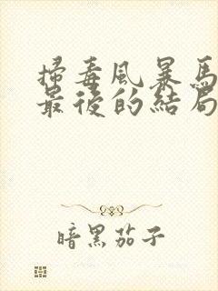 扫毒风暴马英子最后的结局是什么