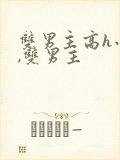 双男主高h小说,双男主