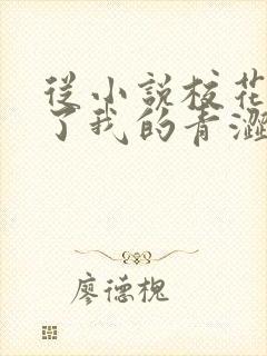 从小说校花别追了我的青涩同桌又软又甜小说