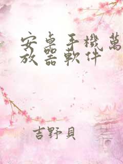 安卓手机万能播放器软件