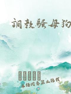 调教骚母狗高h