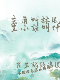 主角叫林风的重生小说叫什么名字