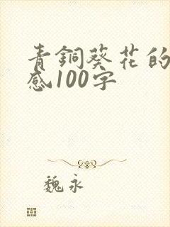 青铜葵花的读后感100字