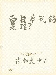 白日梦我的作者是谁?
