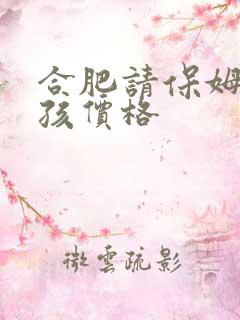 合肥请保姆带小孩价格