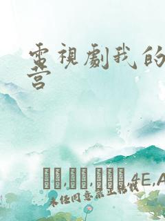 电视剧我的特一营