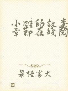 小雄的故事全部章节在线阅读