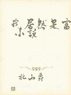 我居然是富二代 小说