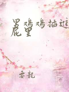 男鸡鸡插进女屁屁里