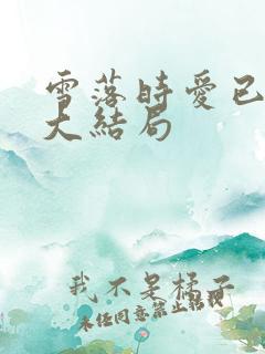 雪落时爱已落幕大结局 雪落时爱已落幕大结局
