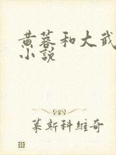 黄蓉和大武小武小说