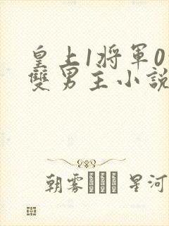 皇上1将军0的双男主小说