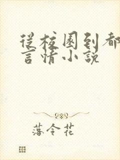 从校园到都市的言情小说