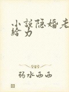 小说隐婚老公超给力
