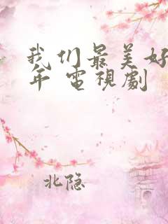 我们最美好的十年 电视剧