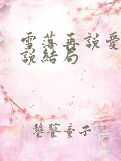 雪落再说爱你小说结局