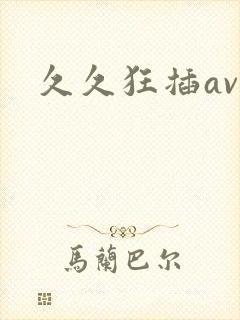 久久狂插av