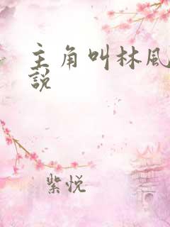 主角叫林风的小说