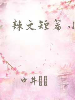 辣文短篇 小说