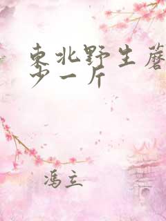 东北野生蘑菇多少一斤