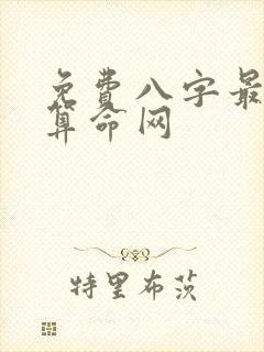免费八字最准的算命网