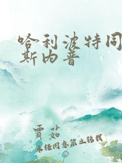 哈利波特同人文斯内普