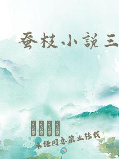 蚕枝小说三侗岸