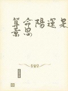 算命阳运是什么意思