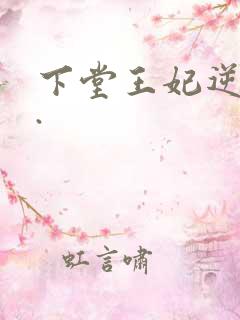 下堂王妃逆袭记.