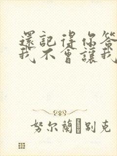 还记得你答应过我不会让我把你找不见歌词