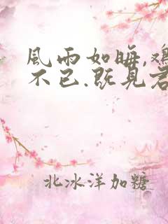 风雨如晦,鸡鸣不已.既见君子,云胡不喜.