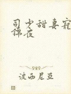 司少甜妻宠定了锦夜