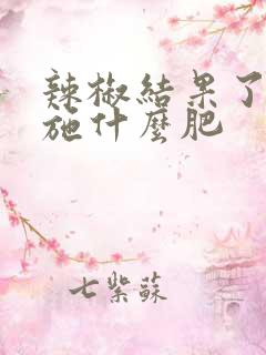辣椒结果了应该施什么肥