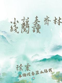 小说秦齐林洁在线阅读