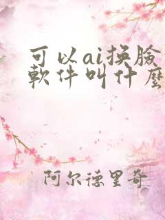 可以ai换脸的软件叫什么