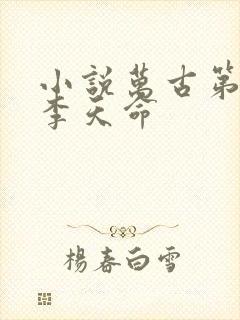小说万古第一神李天命