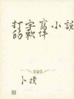 打字写小说赚钱的软件