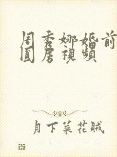周秀娜婚前试爱圆房视频