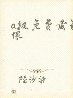 a级免费黄色录像