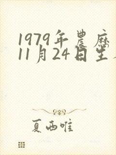1979年农历11月24日生人八字 1979年农历11月24日生人八字