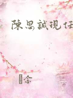陈思诚现任老婆 陈思诚现任老婆