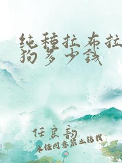 纯种拉布拉多小狗多少钱 纯种拉布拉多小狗多少钱