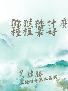 猕猴桃什么季节种植最好