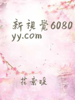 新视觉6080yy.com