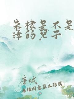 朱棣是不是朱元璋的儿子