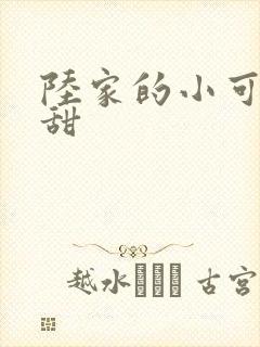 陆家的小可爱超甜