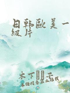 日韩欧美一级二级片