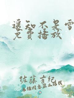 遥知不是雪短剧免费播放