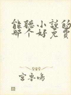 能听小说的软件哪个好免费